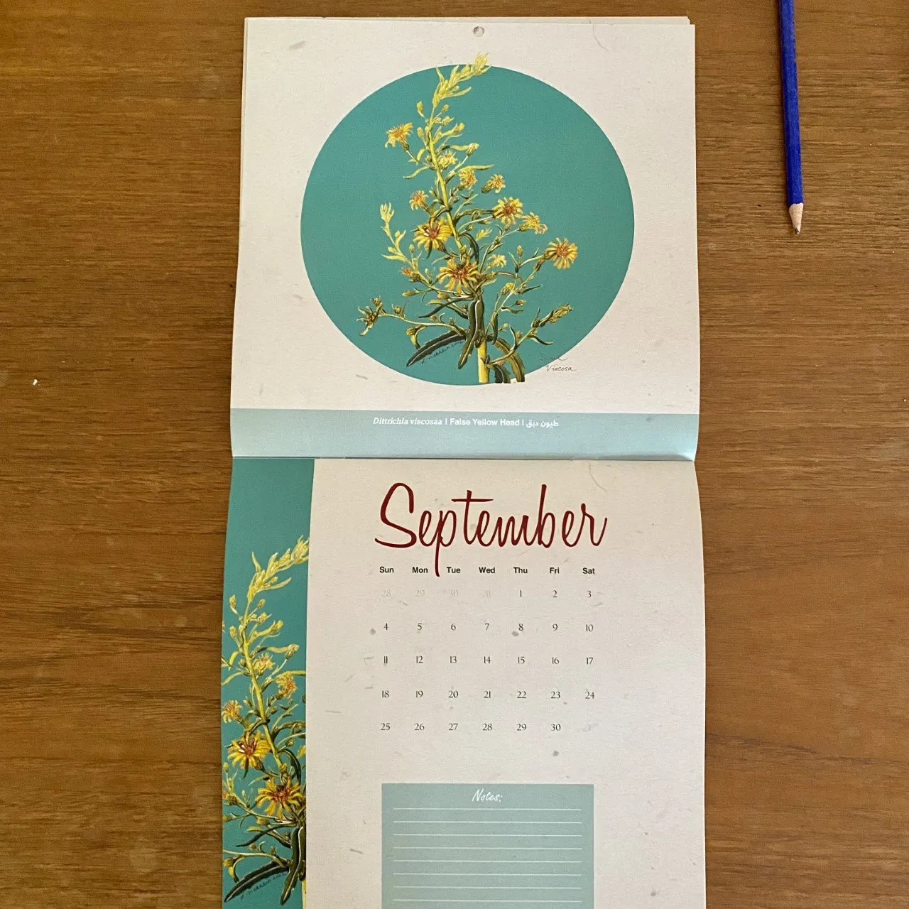 2024 Palestinian Wildflowers Calendar