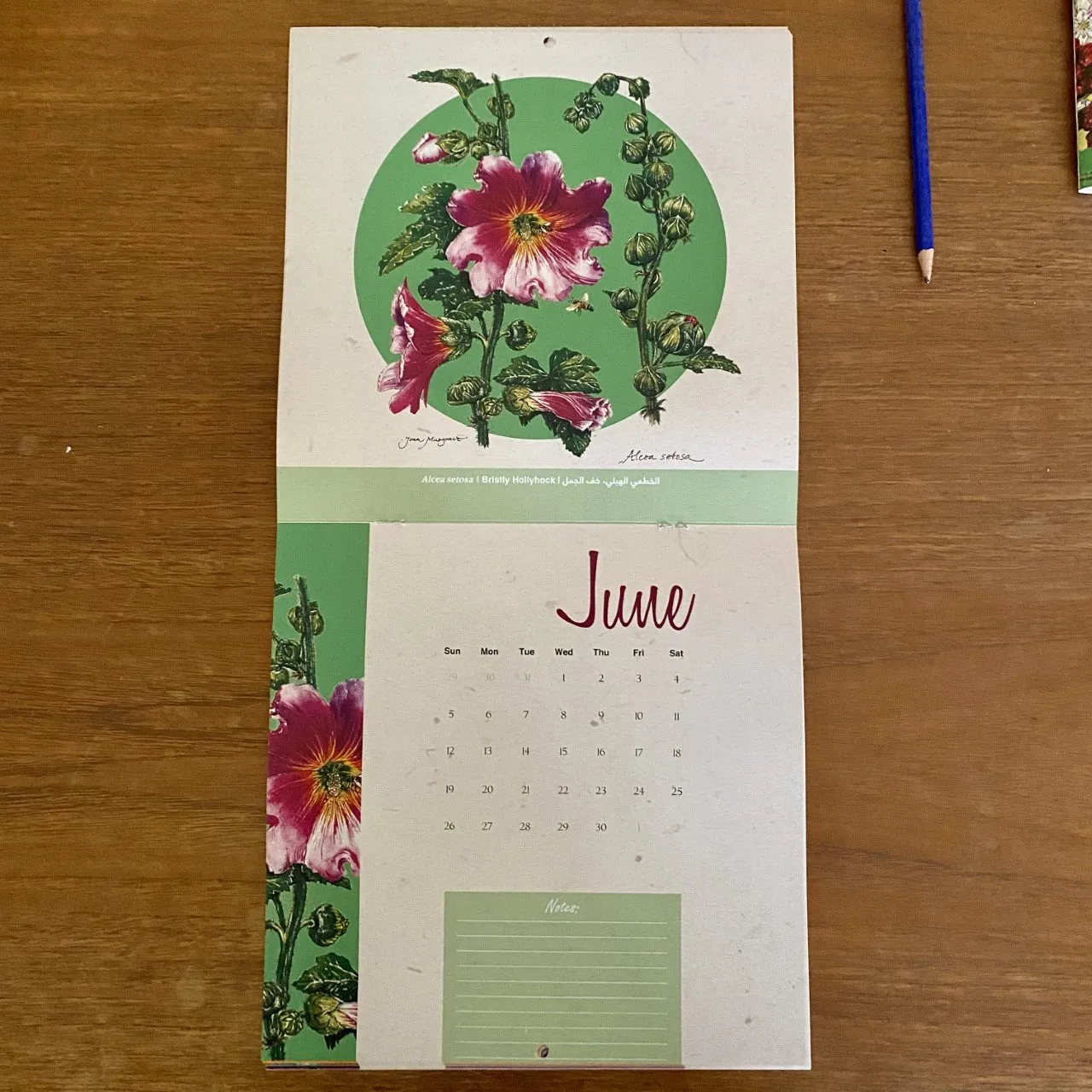 2024 Palestinian Wildflowers Calendar