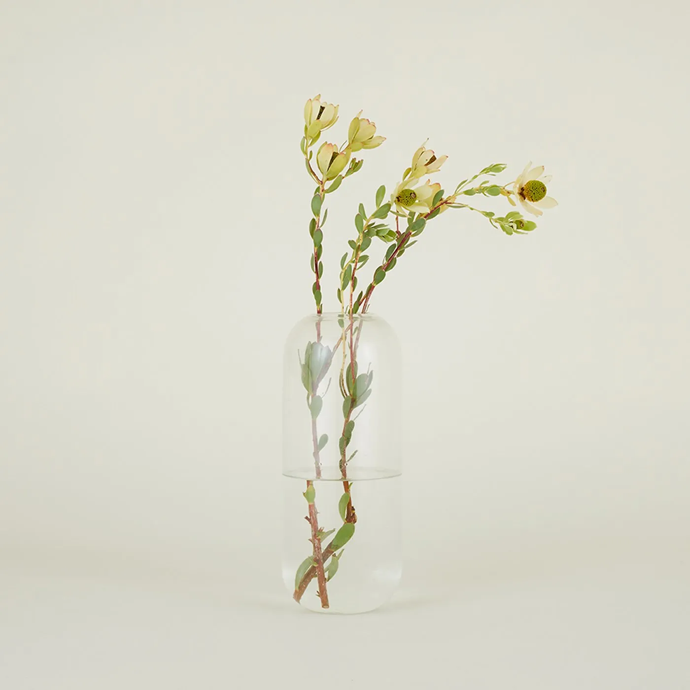 Aurora Pill Vase - Clear