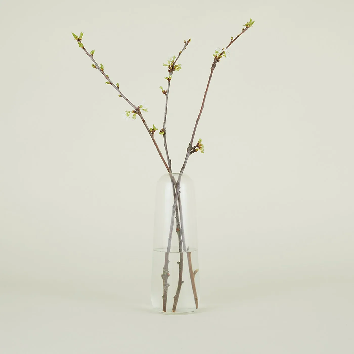Aurora Pill Vase - Clear