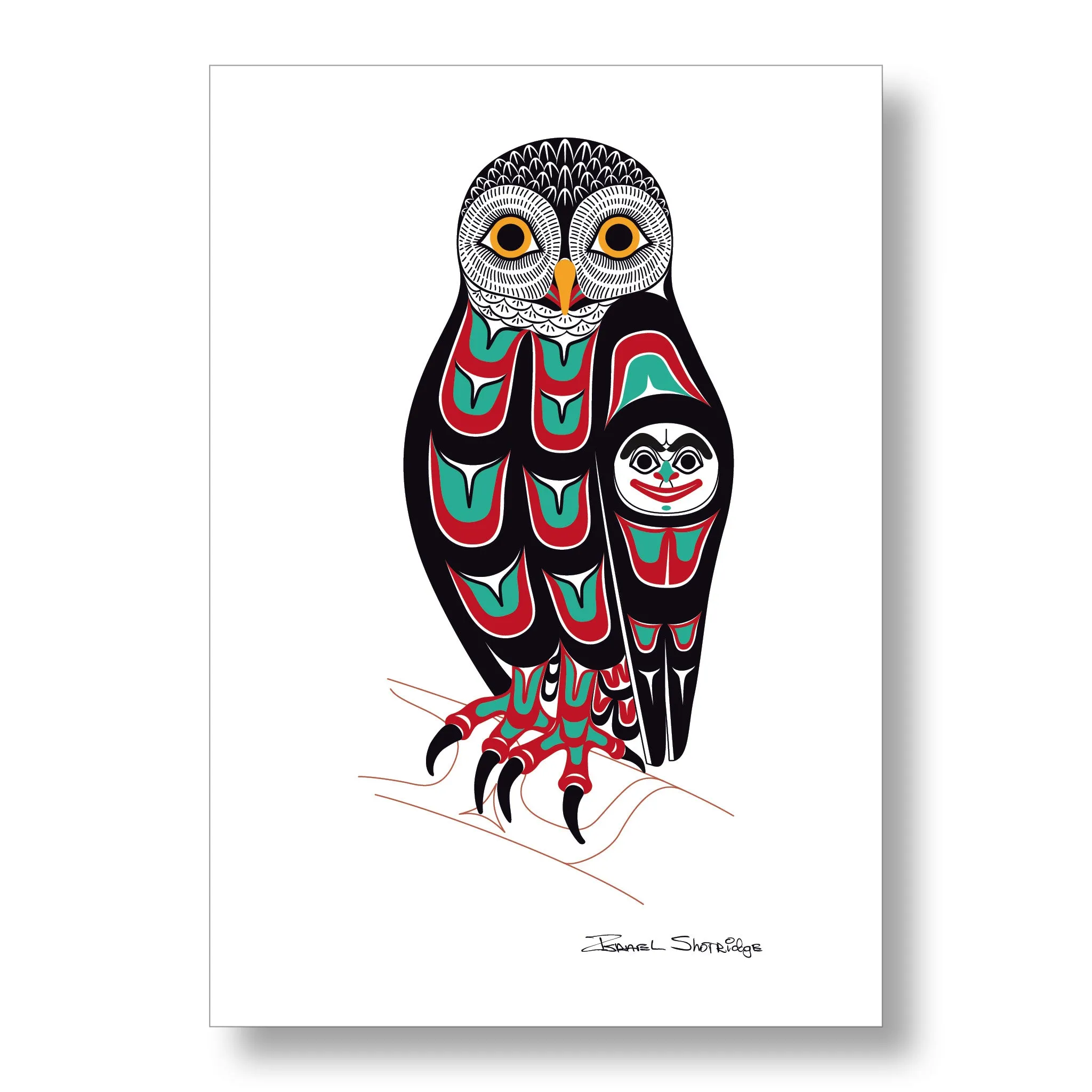 Owl - Limited Edition XL Art Print